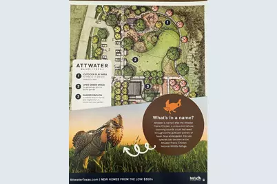 425 Mourning Dove Drive, Waller, TX 77447 - Photo 28