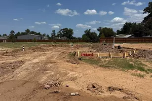 19206 Wright Falls, Spring, TX 77379 - Photo 2