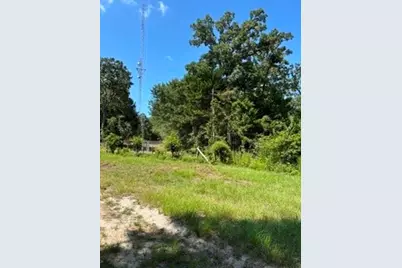 Tbd County Road 488, Normangee, TX 77871 - Photo 4