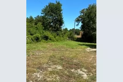 Tbd County Road 488, Normangee, TX 77871 - Photo 6