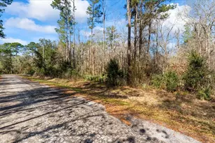 Tbd N Essex Dr, Conroe, TX 77302 - Photo 18