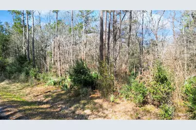 Tbd N Essex Dr, Conroe, TX 77302 - Photo 4