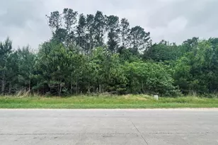 1149 County Rd 5010, Cleveland, TX 77327 - Photo 1