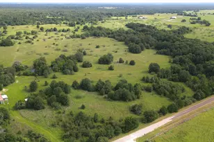 Tbd Hwy 7 and Lcr 706 - 229 Acres, Kosse, TX 76653 - Photo 8