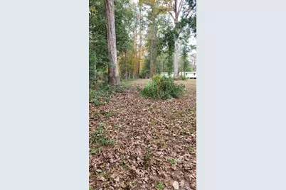 0 Beverly Dr Shepherd, Tx 77371, Shepherd, TX 77371 - Photo 1