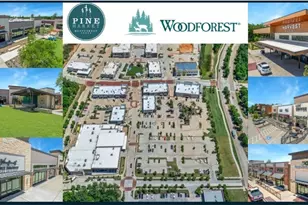 304 Ridge Lake Scenic Dr, Montgomery, TX 77316 - Photo 48