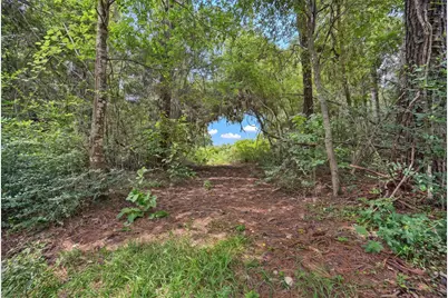 Tba South Section, 3340 Cr 325, Navasota, TX 77868 - Photo 2