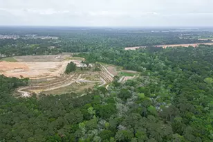 23607 Cardinal Dr, Hockley, TX 77447 - Photo 50