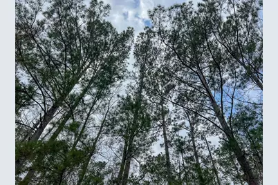 1 Union Springs Road, Corrigan, TX 75939 - Photo 6