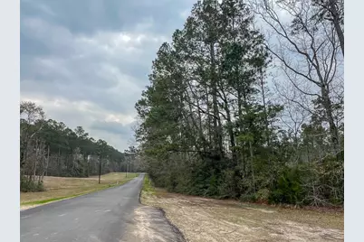 1 Union Springs Road, Corrigan, TX 75939 - Photo 10