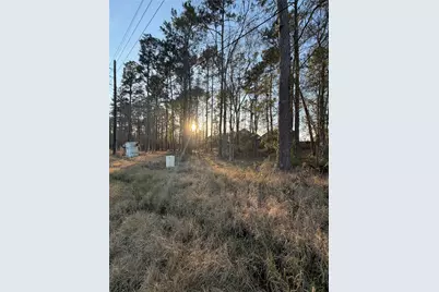 0 Hueni Road, Porter, TX 77365 - Photo 16