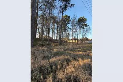 0 Hueni Road, Porter, TX 77365 - Photo 14