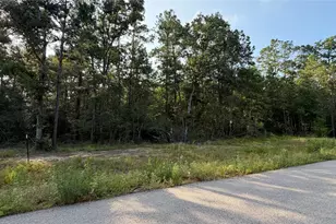 202 County Rd 6311, Dayton, TX 77535 - Photo 1