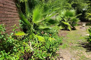 1848 Nursery Rd, The Woodlands, TX 77380 - Photo 24