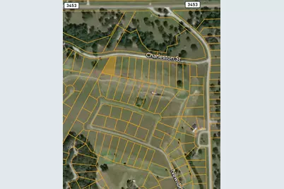 Lot 14 Charleston Street, Trinity, TX 75862 - Photo 4