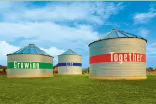 3007 Tulip Terrace Trail, Richmond, TX 77406 - Photo 4