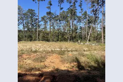 14808 Coaltown Road, Willis, TX 77378 - Photo 4