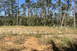 14808 Coaltown Rd, Willis, TX 77378 - Photo 4