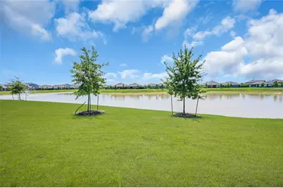 144 Aurora Springs Drive, Katy, TX 77493 - Photo 4
