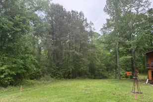 Lot 34 Gov Latham Circle, Point Blank, TX 77364 - Photo 28