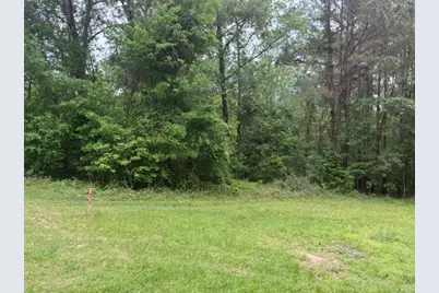 Lot 34 Gov Latham Circle, Point Blank, TX 77364 - Photo 26