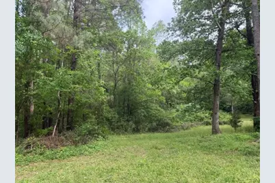 Lot 34 Gov Latham Circle, Point Blank, TX 77364 - Photo 4