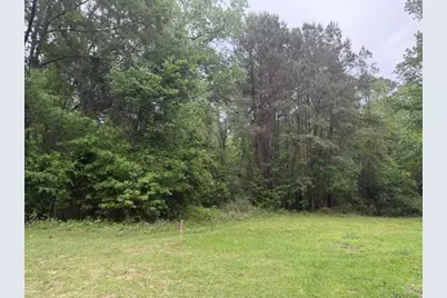 Lot 34 Gov Latham Circle, Point Blank, TX 77364 - Photo 24