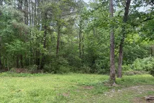 Lot 34 Gov Latham Circle, Point Blank, TX 77364 - Photo 12