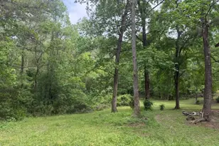 Lot 34 Gov Latham Circle, Point Blank, TX 77364 - Photo 6