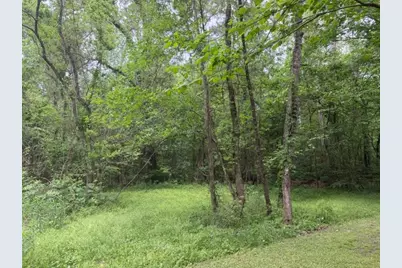 Lot 34 Gov Latham Circle, Point Blank, TX 77364 - Photo 16