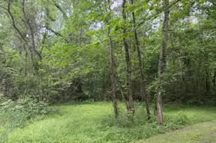 Lot 34 Gov Latham Circle, Point Blank, TX 77364 - Photo 16