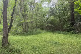 Lot 34 Gov Latham Circle, Point Blank, TX 77364 - Photo 22