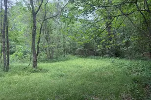 Lot 34 Gov Latham Circle, Point Blank, TX 77364 - Photo 20