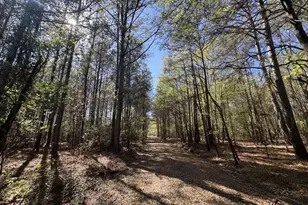 Tbd County Road 3930, Colmesneil, TX 75938 - Photo 1