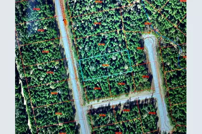 11-29-30 Grey Feather Rd, Huntsville, TX 77340 - Photo 2