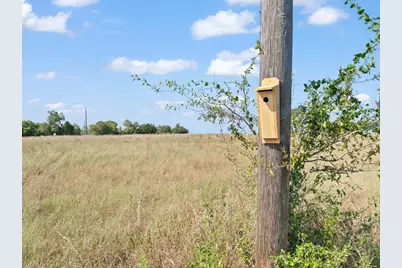 3055 Fm 956, Schulenburg, TX 78956 - Photo 1