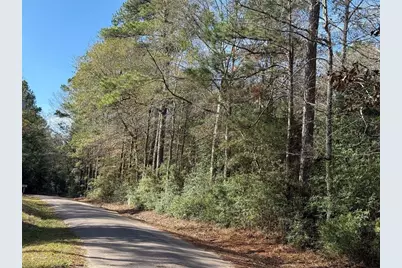 Lot 3 John Keely Road, Zavalla, TX 75980 - Photo 6