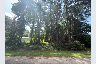 278 Holly Drive, Onalaska, TX 77360 - Photo 6