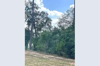 9424 Old Cedars Drive, Plantersville, TX 77363 - Photo 4