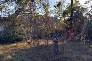 26573 Fawn Dr, Hempstead, TX 77445 - Photo 4