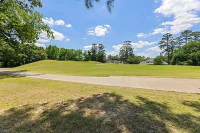 17 Buttonbush Court, The Woodlands, TX 77380 - Photo 48