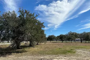 2690 County Road 179, Alvin, TX 77511 - Photo 1