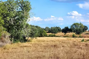 Tbd Tbd Fm 318, Hallettsville, TX 77964 - Photo 2