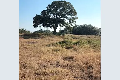 Tbd Tbd Fm 318, Hallettsville, TX 77964 - Photo 4