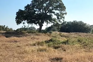 Tbd Tbd Fm 318, Hallettsville, TX 77964 - Photo 4