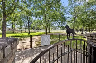 30419 Crystal Stream Ln Ln, Magnolia, TX 77355 - Photo 36
