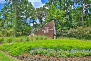 206 Brecon Buff Dr, Willis, TX 77318 - Photo 40