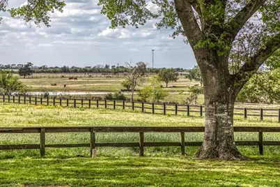 1289 Bluebonnet Ridge Drive, Chappell Hill, TX 77426 - Photo 32