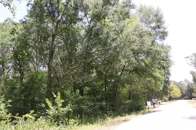 Tbd Dove Creek Drive, Coldspring, TX 77331 - Photo 2