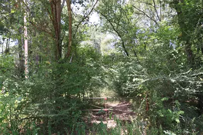Tbd Dove Creek Drive, Coldspring, TX 77331 - Photo 4